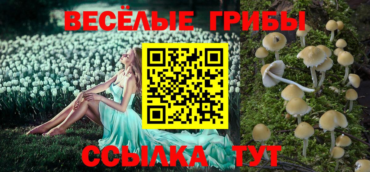 Псилоцибиновые грибы мухоморы Владивосток