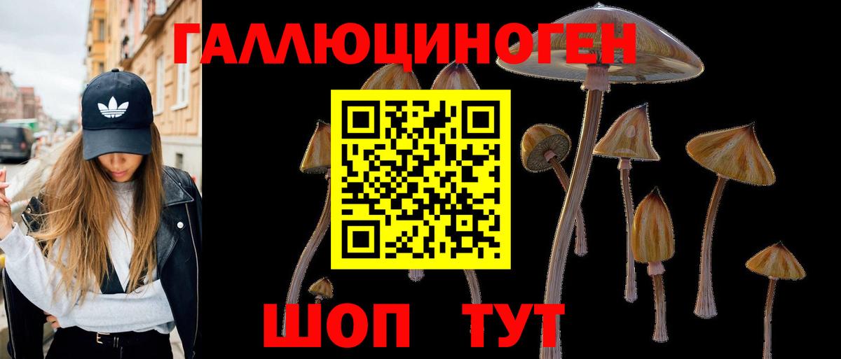 Владивосток  что такое наркотик  Вход с VPN  Галлюциногенные грибы прущие грибы 